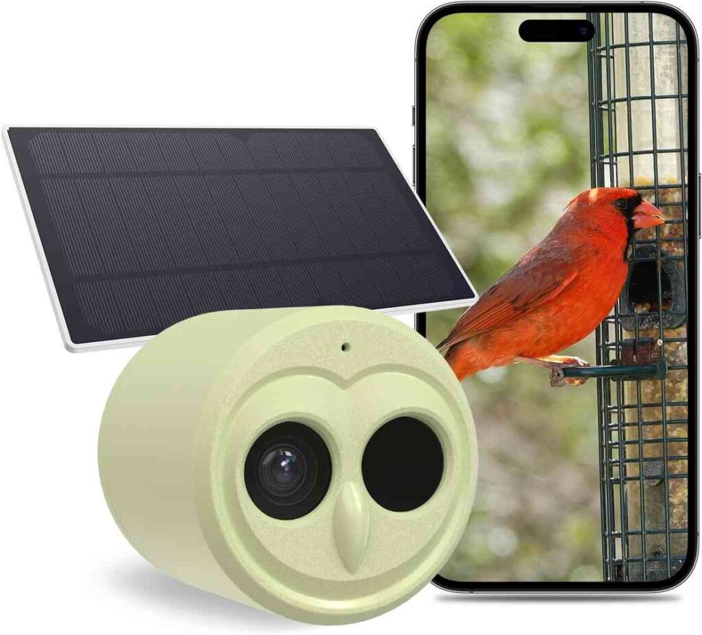 Hibird Smart AI Camera