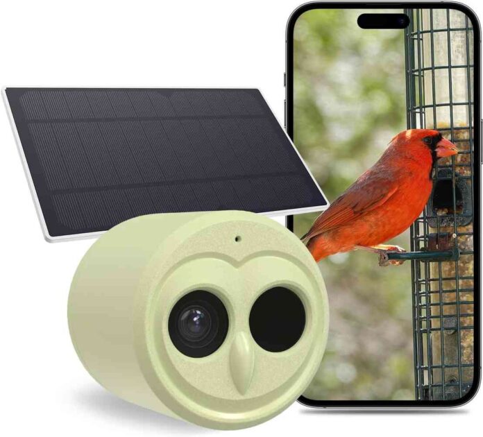 Hibird Smart AI Camera