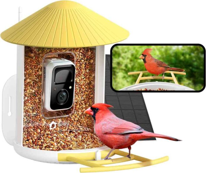 NETVUE by Birdfy Smart Bird Feeder