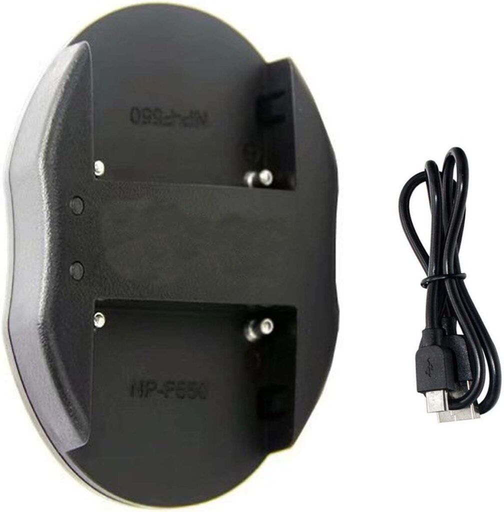 USB Dual Battery Charger